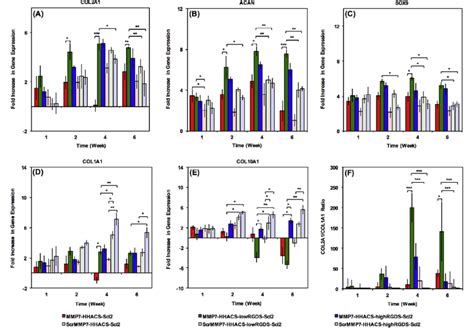 Hmsc Gene Expression In Scl Hydrogels A Col A B Acan C Sox