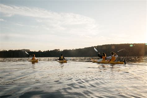 Batemans Bay Tours: Kayak Adventures | RegionX Booking Agent