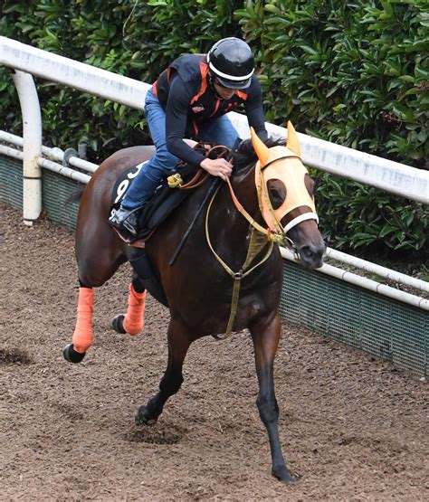 【紫苑s】スタニングローズ文句なし 伸び脚抜群で高野師「無理なくいいラップ」 競馬ニュース