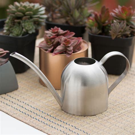 Clearance Eqwljwe Stainless Steel Metal Watering Can For Indoor Outdoor Houseplants Watering