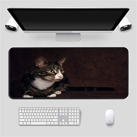 Dhsbd Gaming Muismat Mooie Leuke Kat Grote Mousepad Xxl Antislip