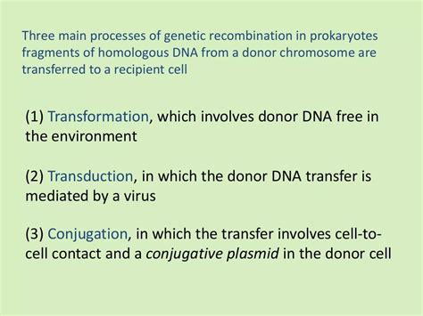 Generalized Specialized Transduction Transformation And Conjugation