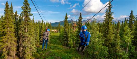 Denali Park Zipline | AlaskaTravel.com