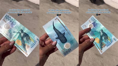 Conoce Uno De Los Billetes M S Bellos Del Mundo El Rufiyaa De