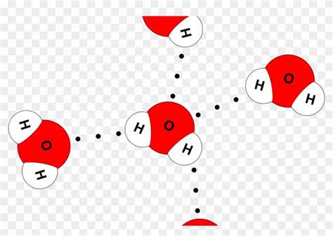 Water Molecule 4 Hydrogen Bonds , Png Download - Water Molecules Model ...