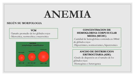 ANEMIA Ppt Descargar