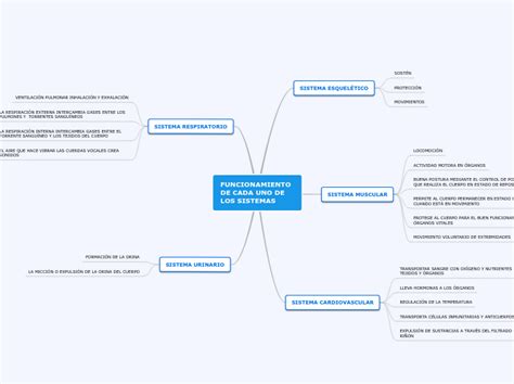 Funcionamiento De Cada Uno De Los Sistemas Mind Map