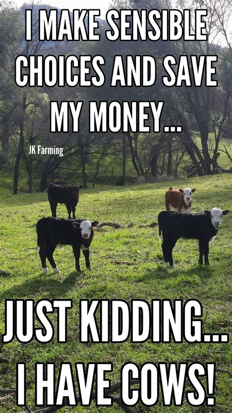 Pin On Cattle Livestock Quotes Farm Jokes Farm Humor