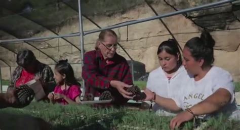 Ang Lica Torres La Abuela Mejicana Que Ha Plantado M S De Un Mill N De