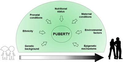 Frontiers Genetic Epigenetic And Enviromental Influencing Factors On