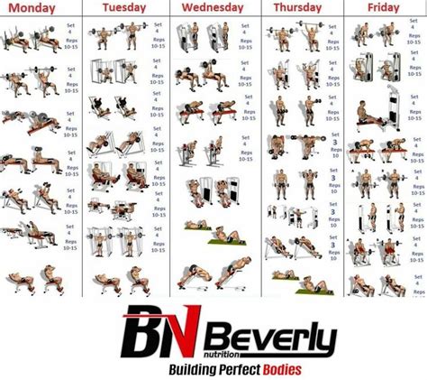 Pin By Gen Ocampo On Training In 2024 Gym Workout Chart Weekly Gym