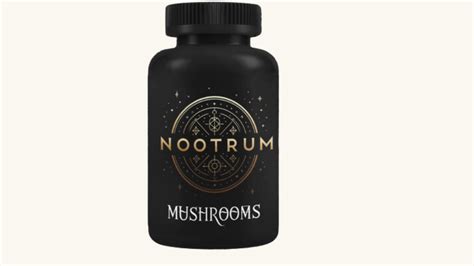 Top 9 Best Mushroom Supplements in 2024 - Straight.com