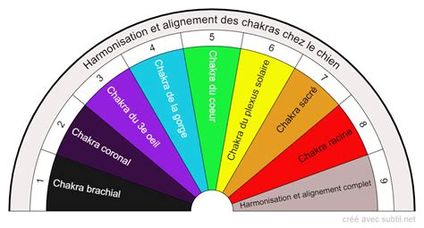 Subtil Biomètre Harmonisation et alignement des chakras chez le chien