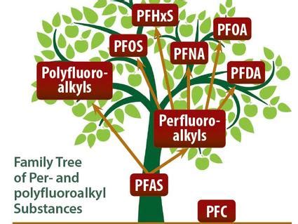 PFAS Exposure and Risk of Cancer - NCI