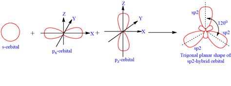 Hybridization: Definition, types and examples - Chemistry Notes