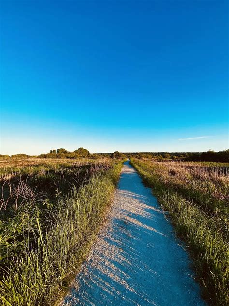 7 Things To Do at Boundary Bay Regional Park | Destination Vancouver