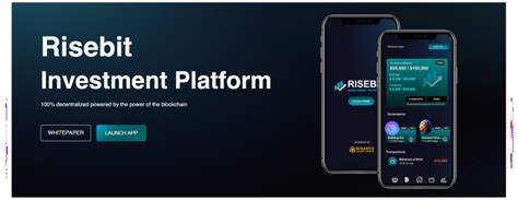 Risebit Platform Investment Plans For Earning BNB DAPP EXPERT