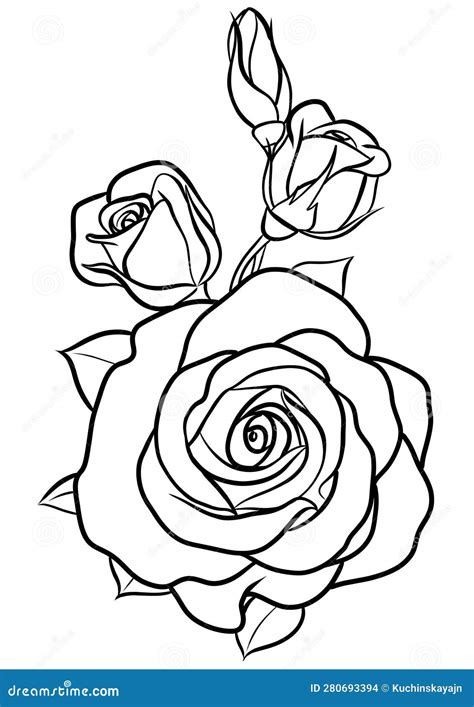 Rose Flower, Sketch for Your Design. Vector Illustration Stock Photo ...