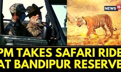 PM Modi News PM Narendra Modi Takes Safari Ride At Bandipur Tiger