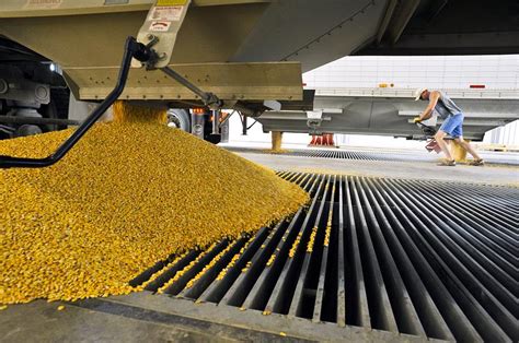 Corn At An Ethanol Processing Plant By David Nunuk