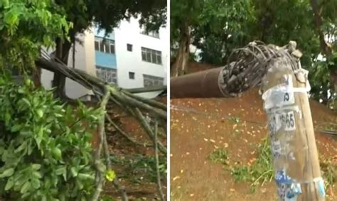 Em Salvador Rvore Cai Na Avenida Centen Rio E Parte Da Via Interditada