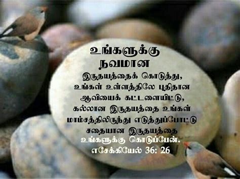 Pin on Tamil Bible Verse Wallpapers