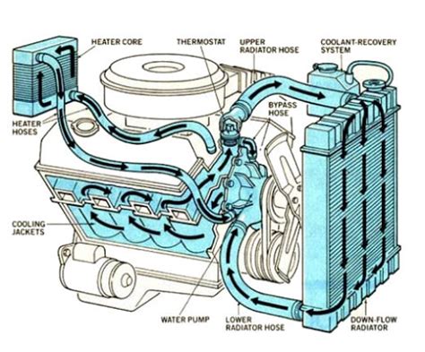 Heater Delete Hose Routing Team Chevelle