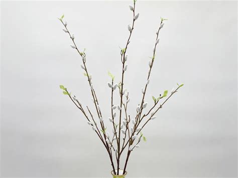 Faux Pussy Willow Stem With Tender Leaves Fake Salix Argyracea Branch Artificial Flower Crafts