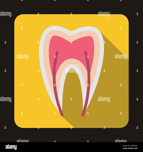 Corte Transversal De Salud Imágenes Vectoriales De Stock Alamy