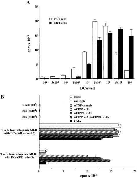 Downregulated Proliferation Of Mature T Cells Cultured With