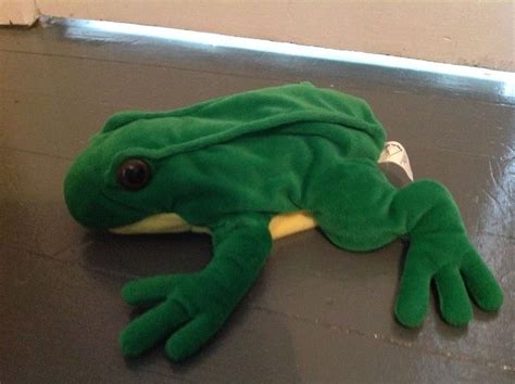 Frog Puppet By Dakin Baby Einstein Toys Frog Puppet Baby Mozart Toys