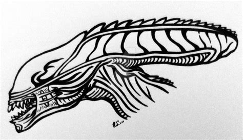 Xenomorph Head - First Attempt by BeckyL97 on DeviantArt