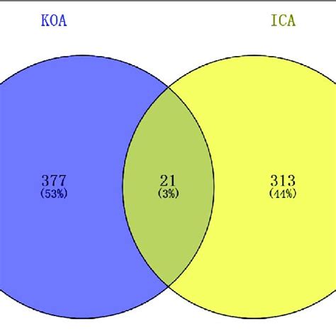 Venn Diagram Of The Targets In Koa And Ica Download Scientific Diagram