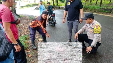 Kronologi Bocah Sd Tewas Dibacok Saat Pulang Sekolah Diduga Ulah Geng