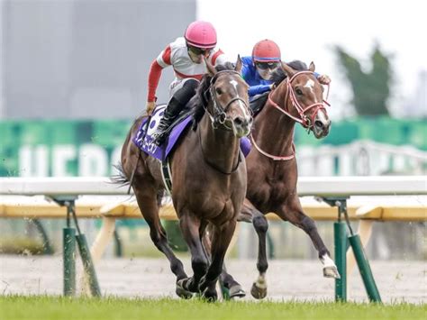 【京王杯スプリングc出走馬・騎手確定】ダノンスコーピオンand川田将雅騎手、ピクシーナイトand戸崎圭太騎手など18頭 競馬ニュース Netkeiba