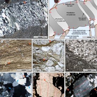 Microphotographs of Cambrian–Ordovician and Upper Ordovician rocks: A)... | Download Scientific ...