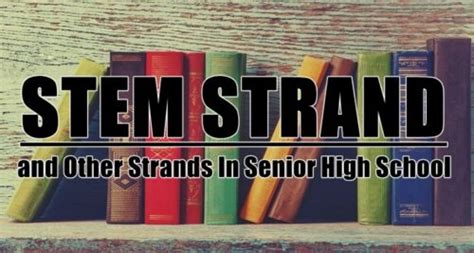 STEM Strand and Other Strands In Senior High School You Should Know