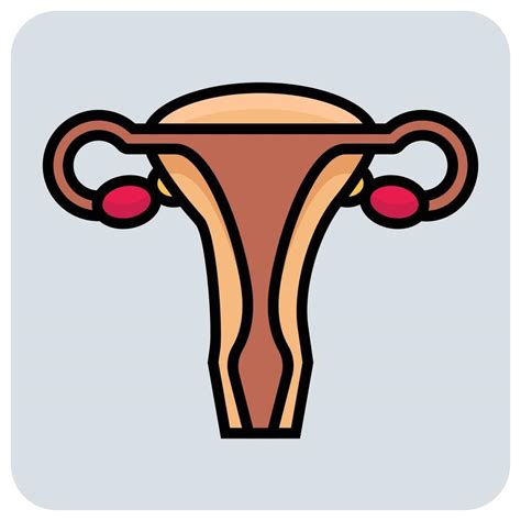 Filled Color Outline Icon For Vagina 22180101 Vector Art At Vecteezy