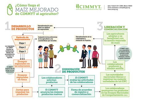 Nuevos Híbridos De Maíz Del Programa De Mejoramiento De Latinoamérica