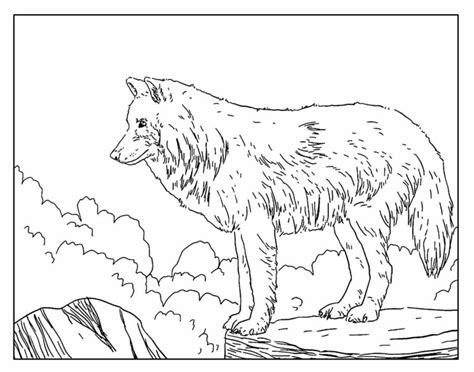 Desenhos Para Colorir De Lobo Dicas Pr Ticas