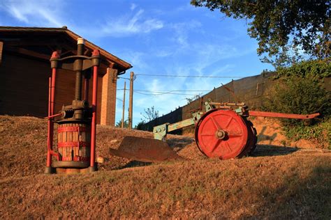 Il Dialetto Ferrarese Protagonista Al Mondo Agricolo Ferrarese