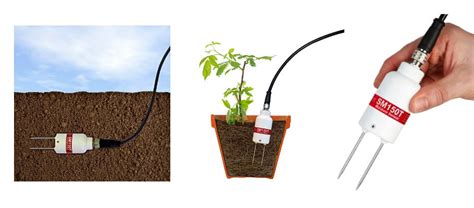 New Soil Moisture And Temperature Sensor From Delta T Devices The