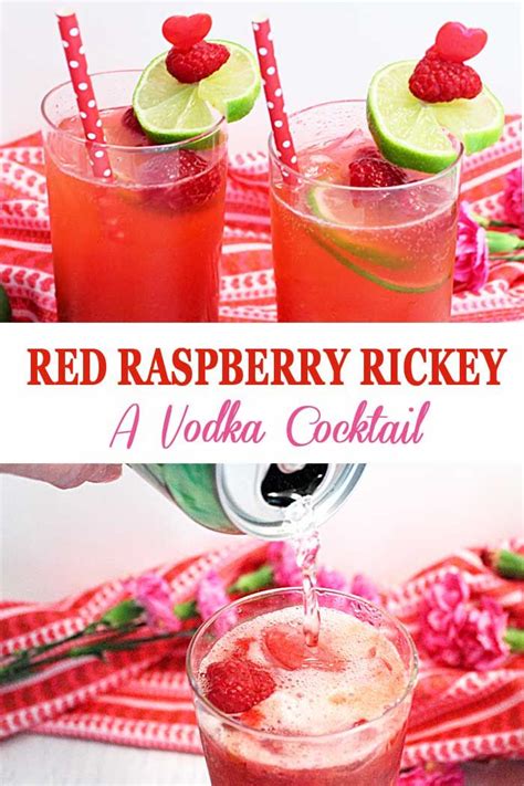 Raspberry Lime Rickey Cocktail Recipe Vodka Cocktails Raspberry Vodka Vodka Drinks