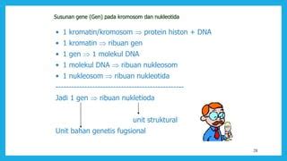 DNA Gen Dan Kromosom PPT