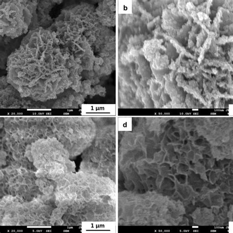 FESEM Images Of A B NCS 1 And C D NCS 2 Powders With Different