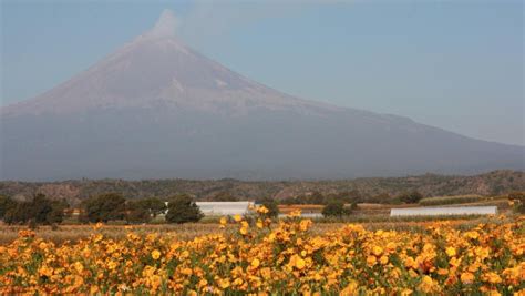 Popocatépetl HOY Actividad registrada 25 de octubre de 2024 EN VIVO