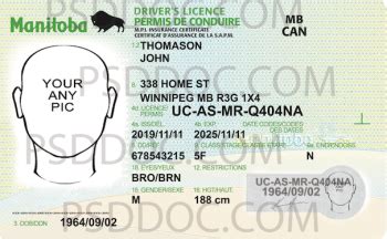 Usa Manitoba Driver License Front Back Sides Psd Store