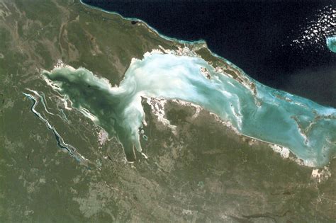 Chetumal Bay Coral Reef