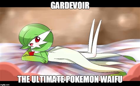 Ultimate Waifu Gardevoir Know Your Meme