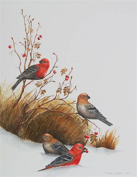 Pine Grosbeaks Painting By Gina Gahagan Fine Art America